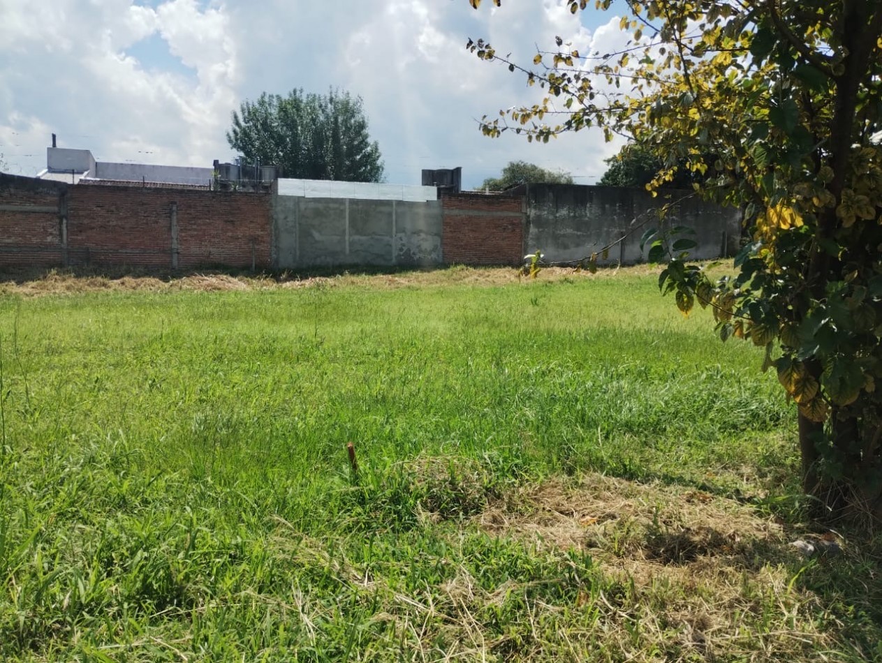 Venta  Terreno en Villa Carmela 