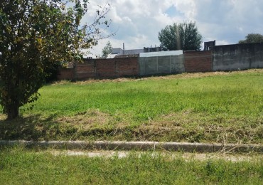 Venta  Terreno en Villa Carmela 